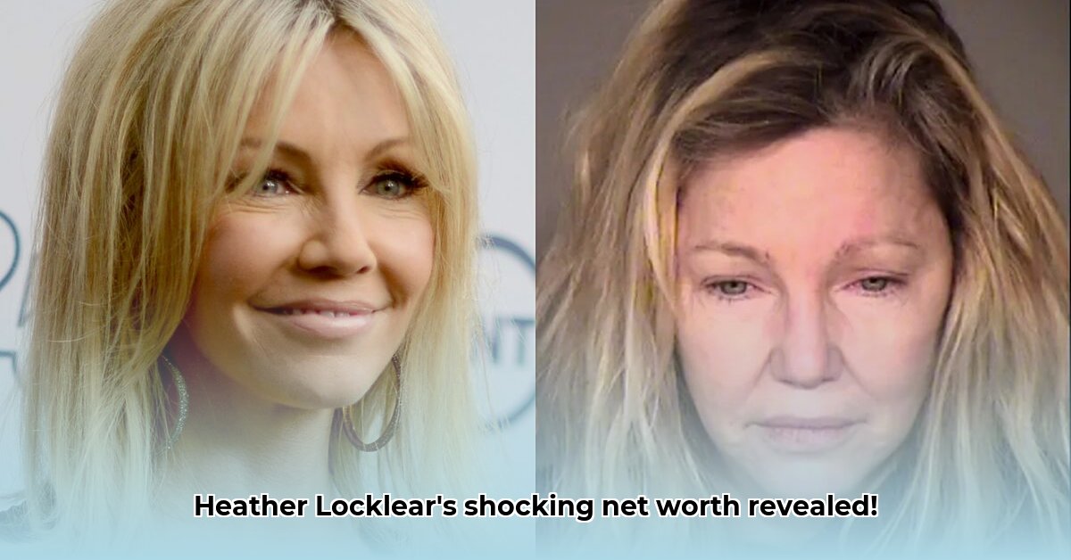 heather-locklear-s-net-worth